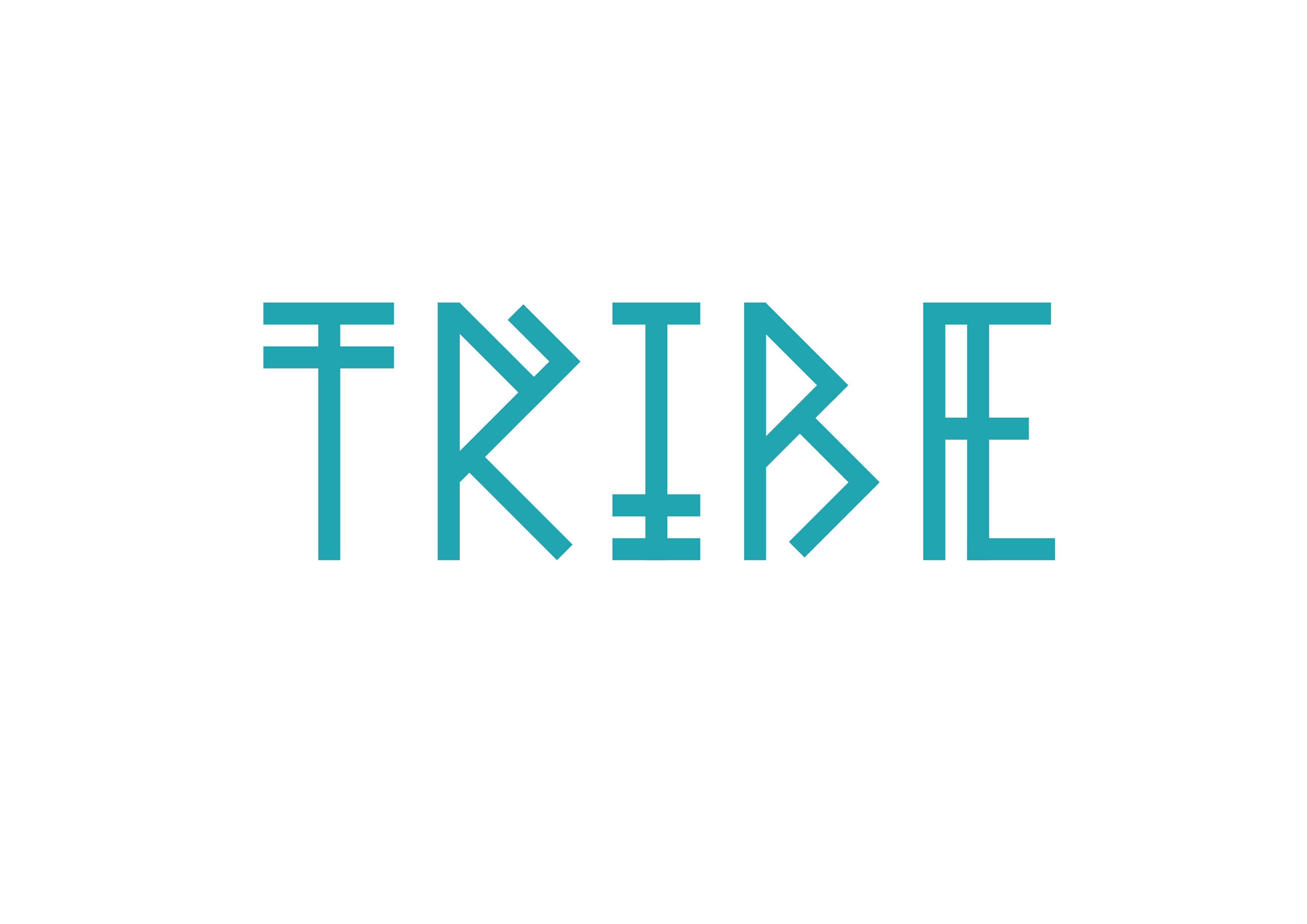 Tribe Tours