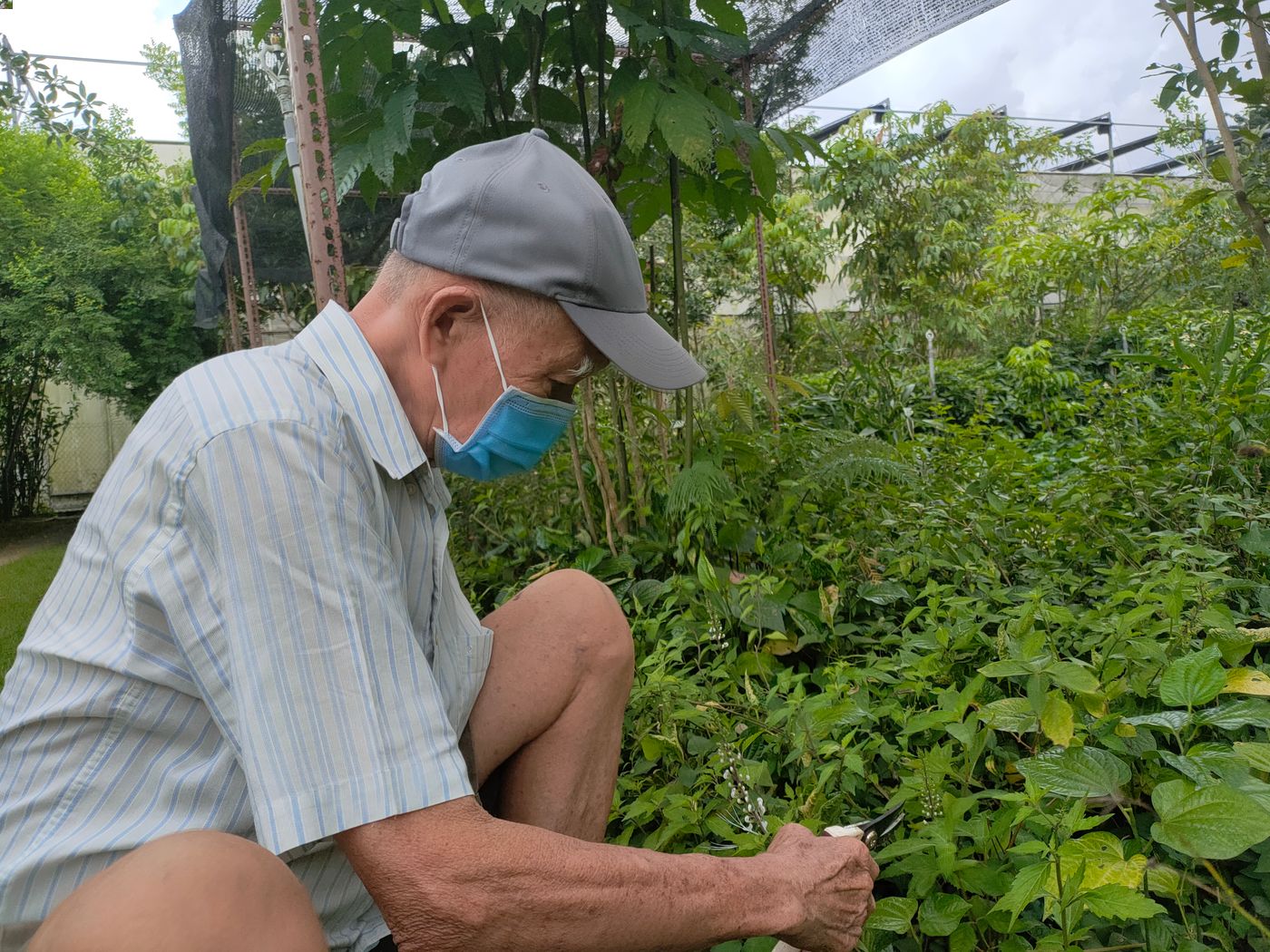 Uncle Tans Herb Garden