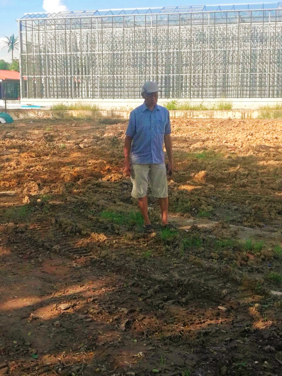 Uncle Tans Herb Garden