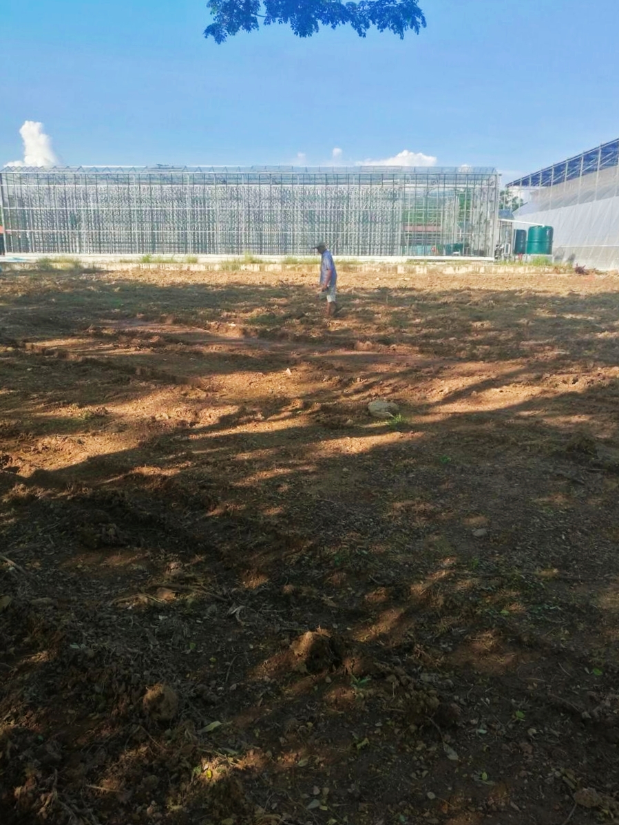 Uncle Tans Herb Garden