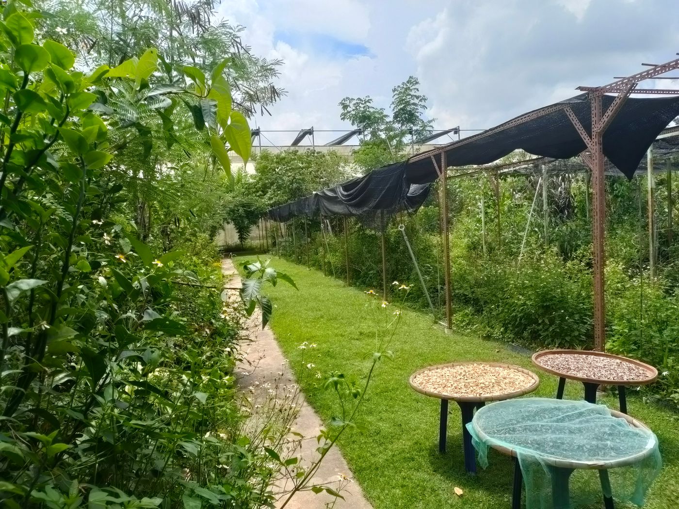 Uncle Tans Herb Garden