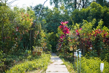 NTU Community Herb Garden