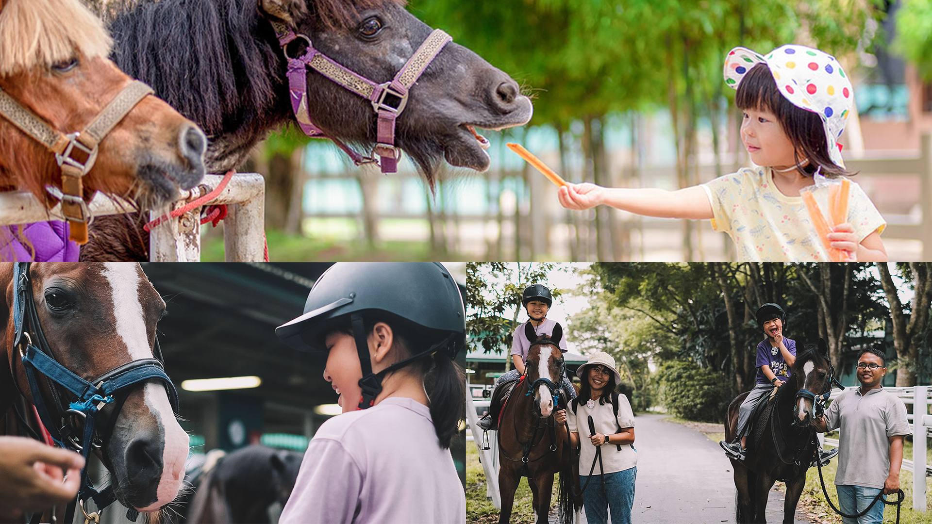 A-Journey-with-Singapore-Turf-Club-Past-to-Present-STCRC-Equine-Experience