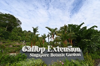 Gallop Extension Tour