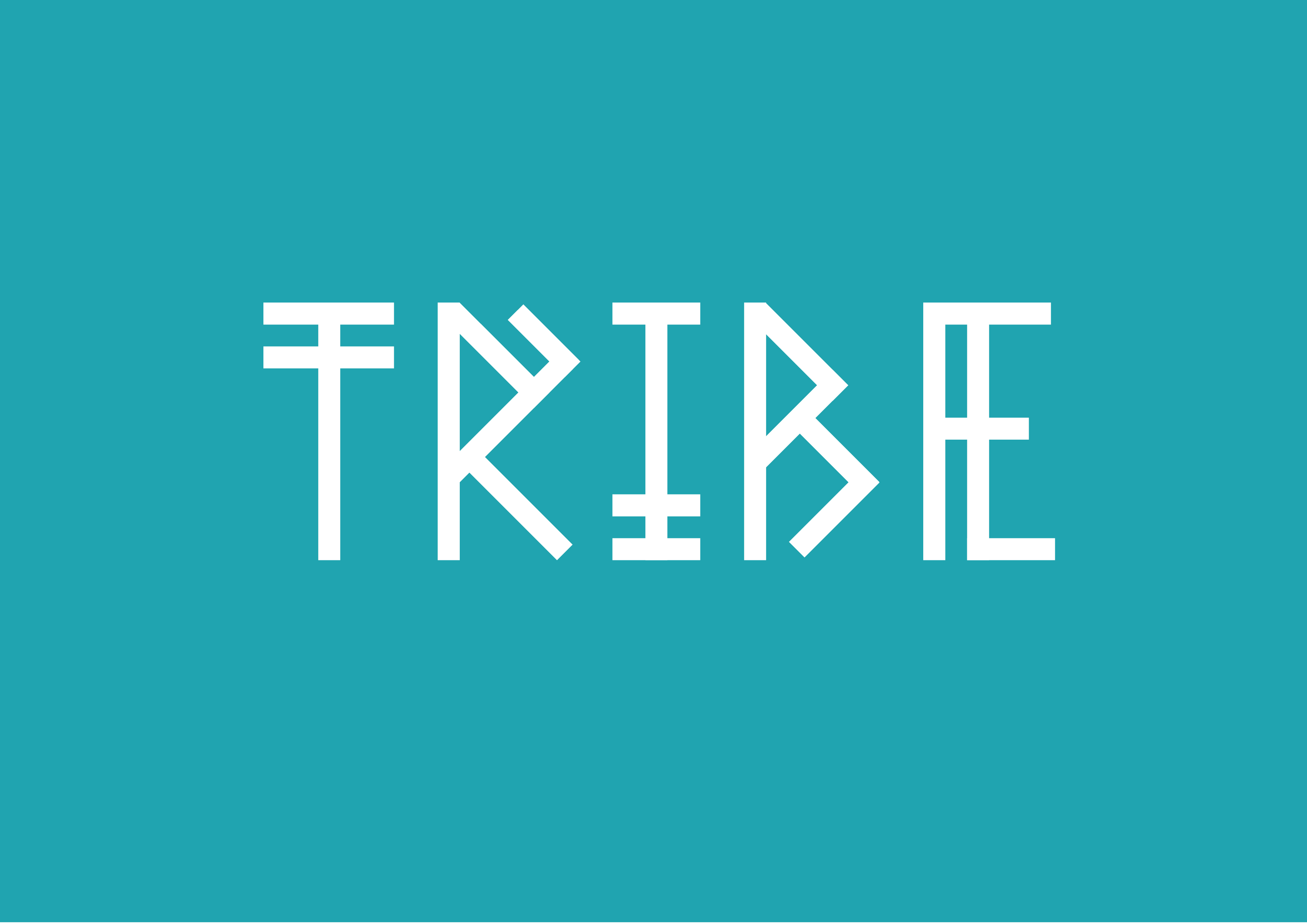 Tribe Tours