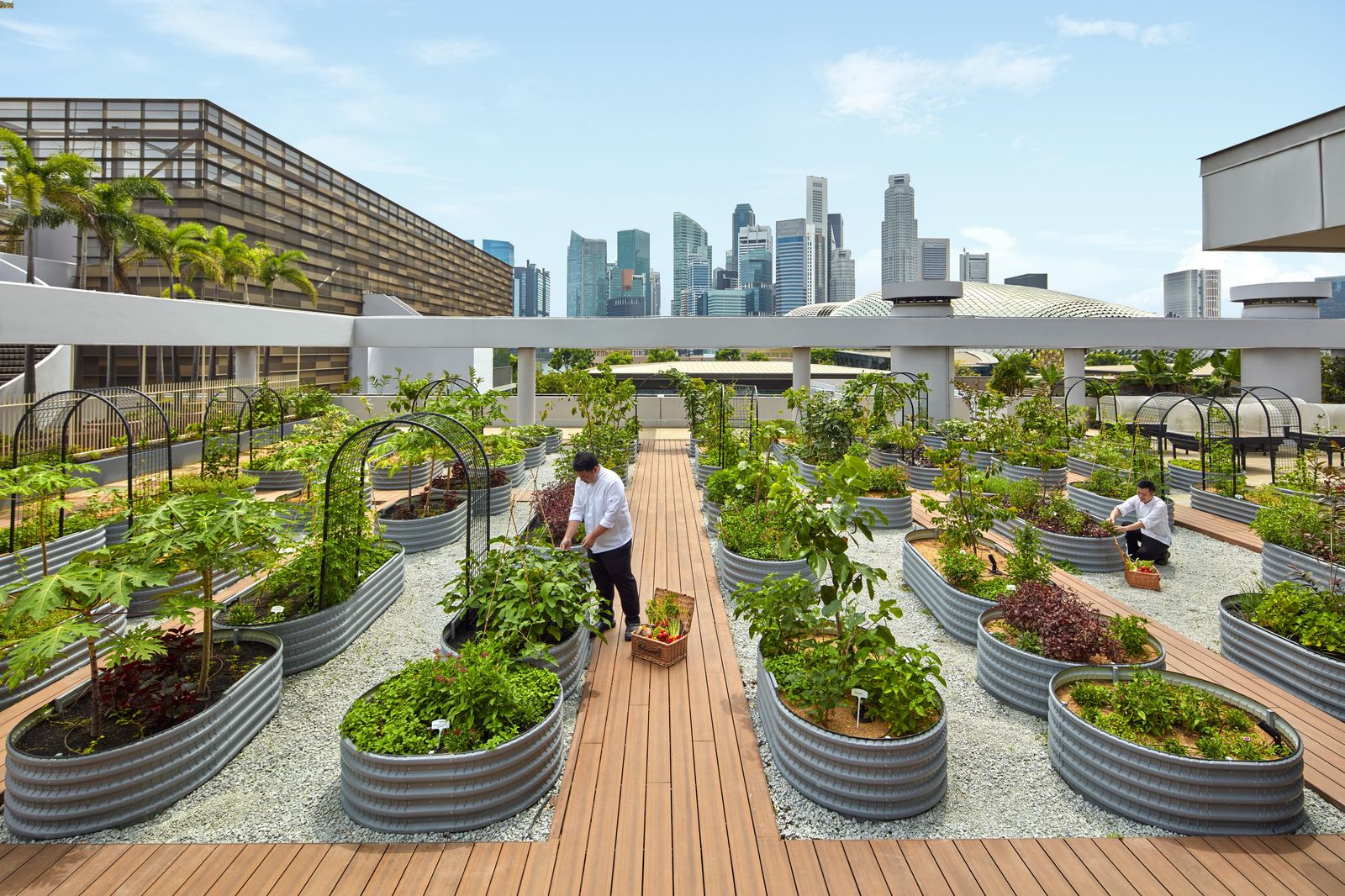 108A_PRSMB_Urban Farm-min