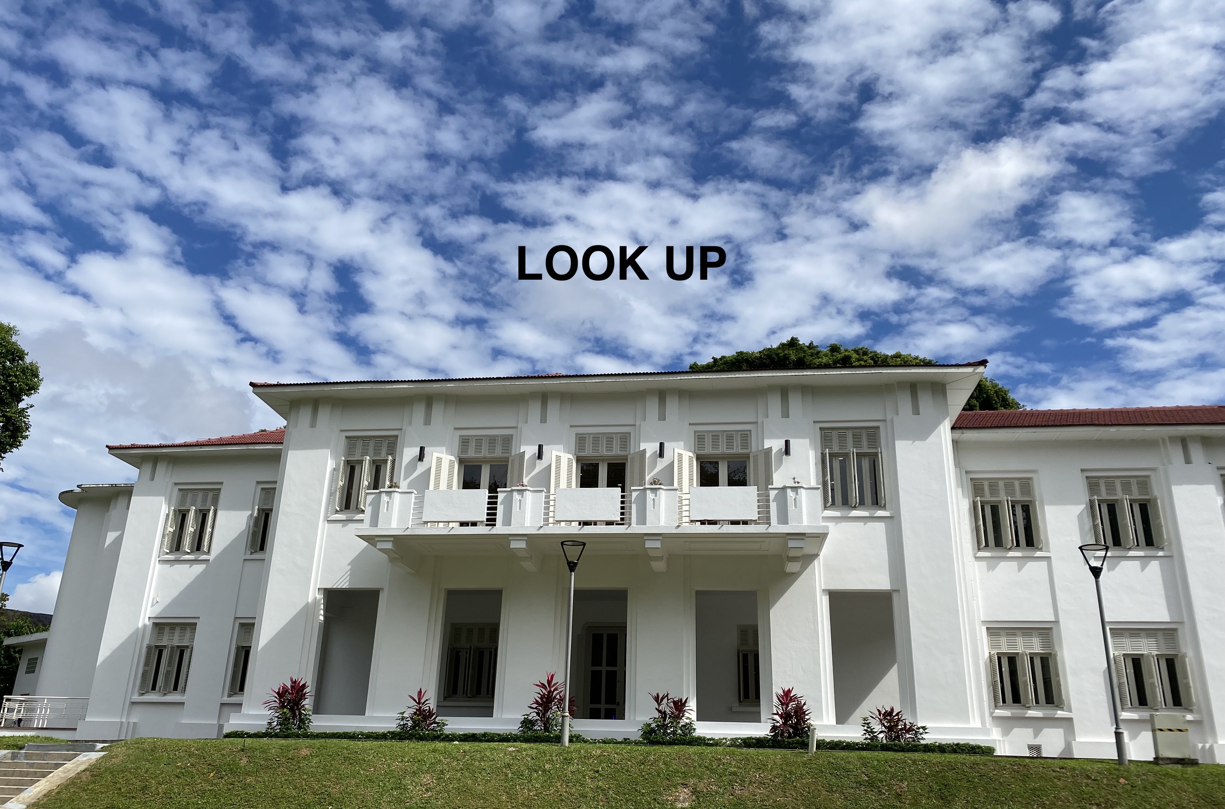 Look Up: Guided tour by Marie-Pierre Mol, curator of the exhibition