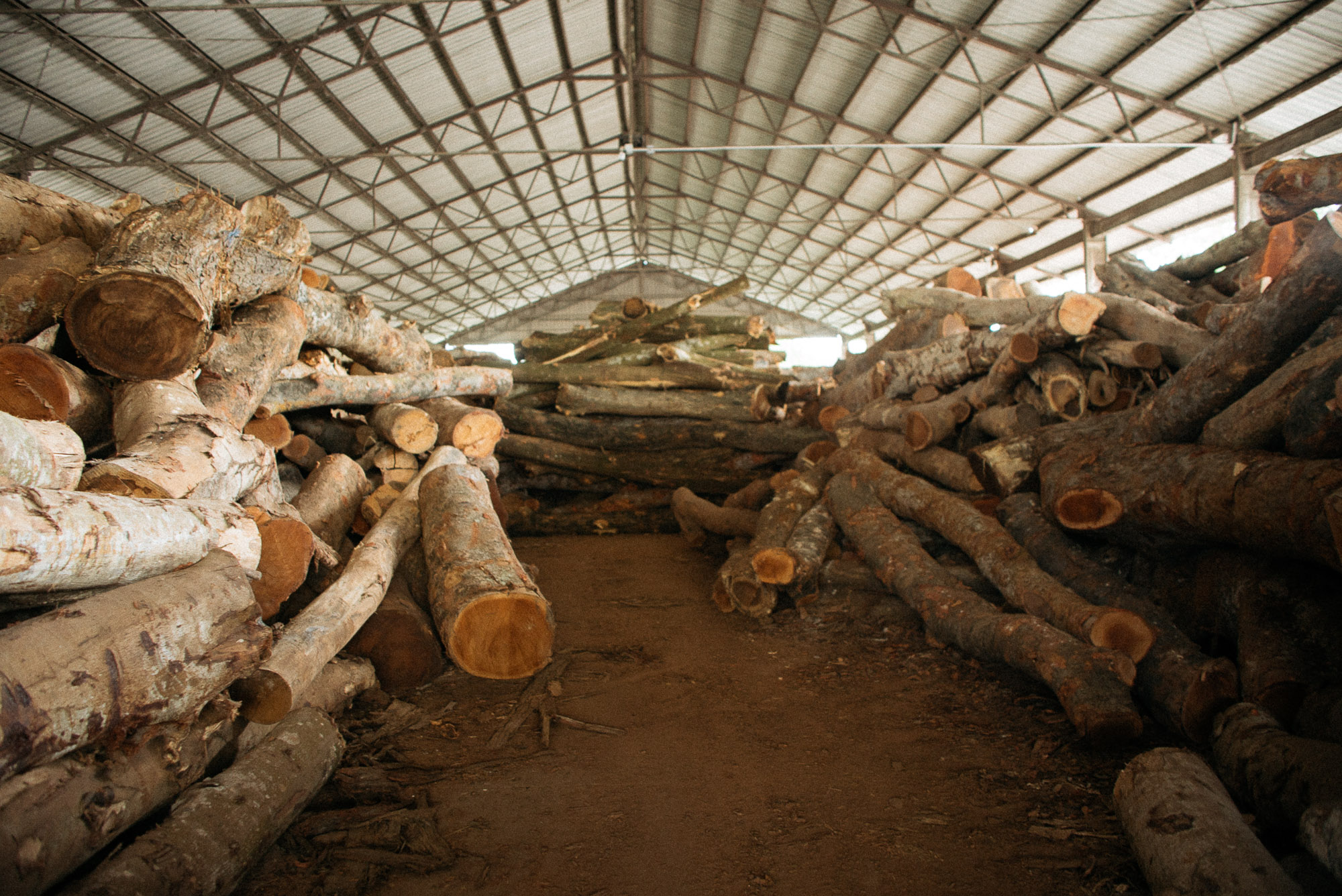 The-Local-Tree-Project--A-visit-to-our-local-sawmills-with-Roger-and-Sons