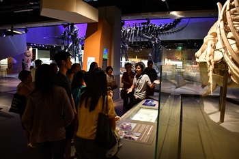 Guided Heritage Tour @ Lee Kong Chian Natural History Museum