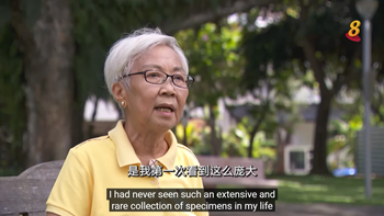 MediaCorp Channel 8 Tuesday Report: The Beauty of Tenacity
