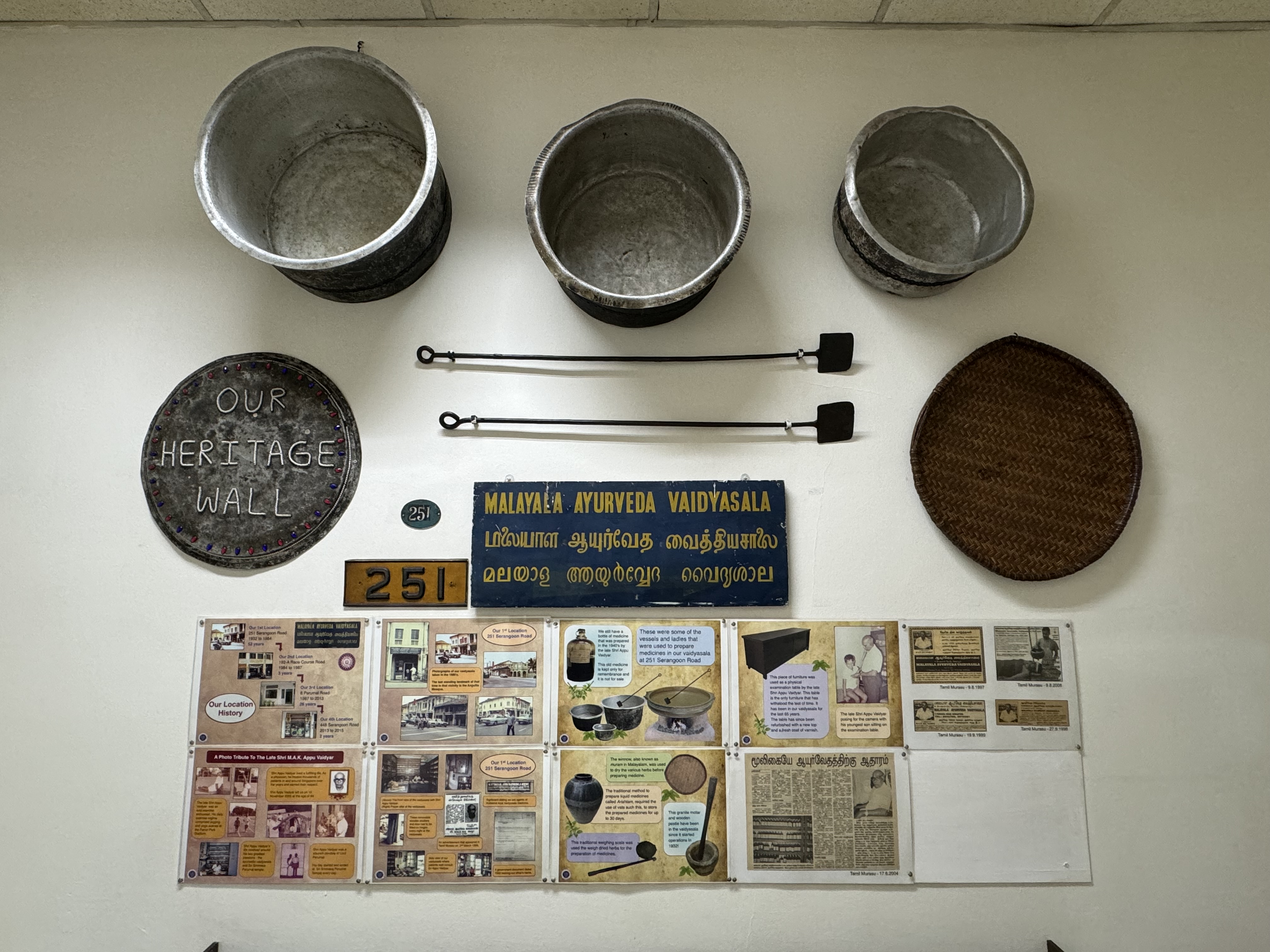 Ayurveda Insights A Journey to Wellness