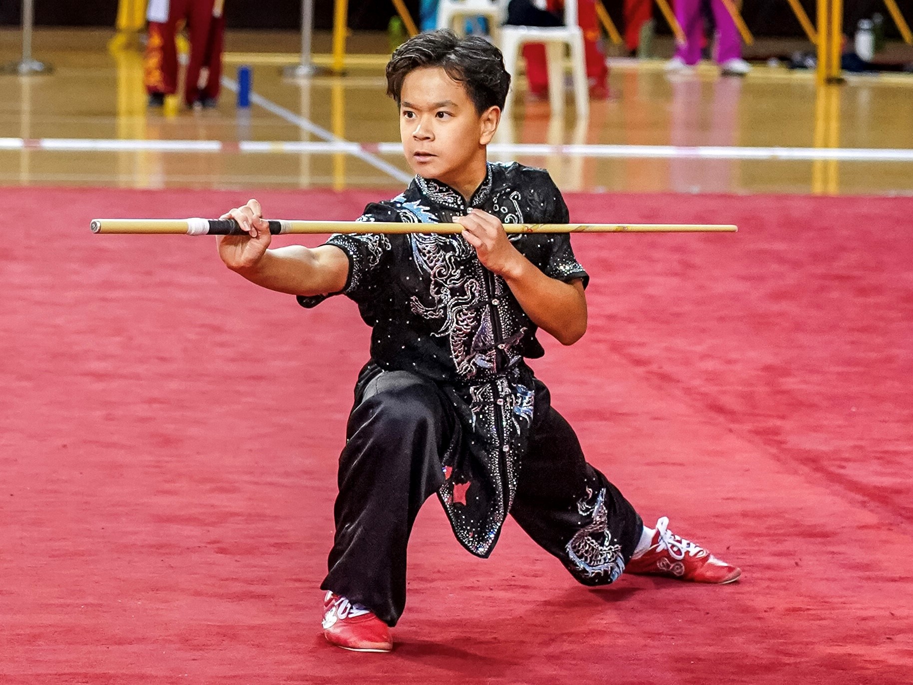 The Evolution of Wushu