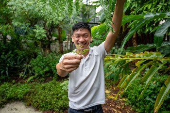Hidden Roots Finding Traditional Edible Plants in Singapore with Alexius Yeo
